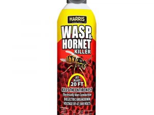 Wasp, Hornet, Yellowjacket Killer