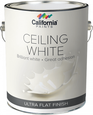 Ceiling Paints