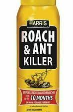 Roach & Ant