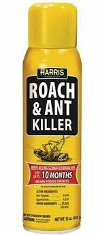 Roach & Ant