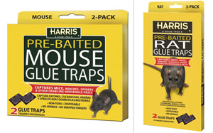MOUSE/RAT TRAPS