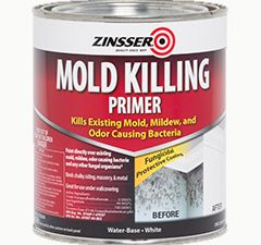 MOLD KILLING PRIMER